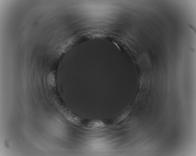 X0000099380715200805221806