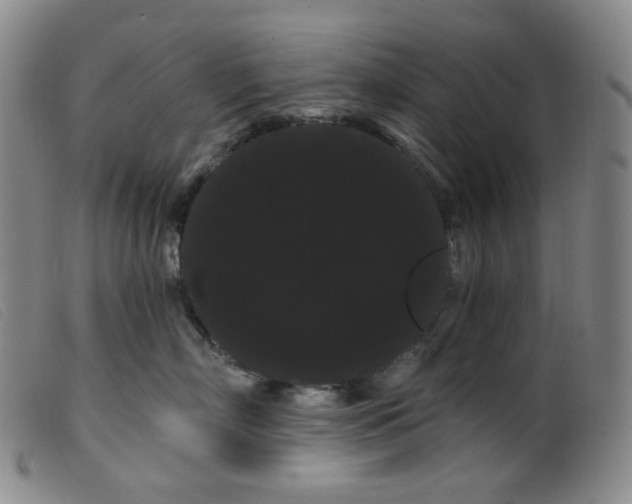 X0000099380718200805221806