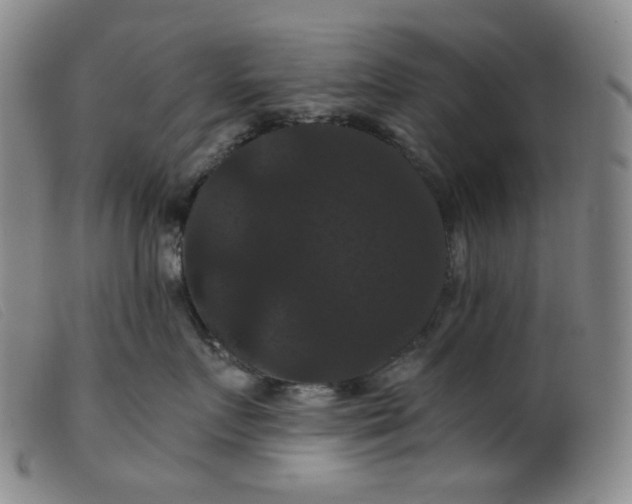 X0000099380719200805221806