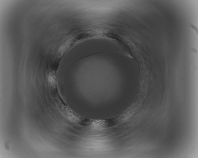 X0000099380720200805221806