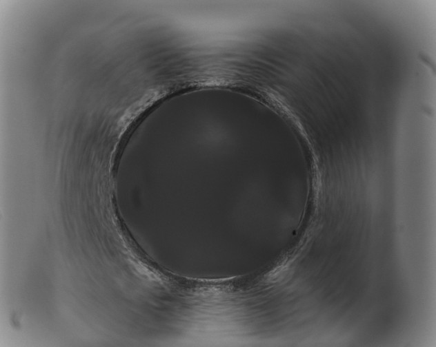 X0000099380721200805221805