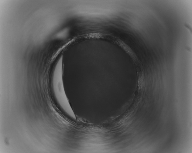 X0000099380722200805221805