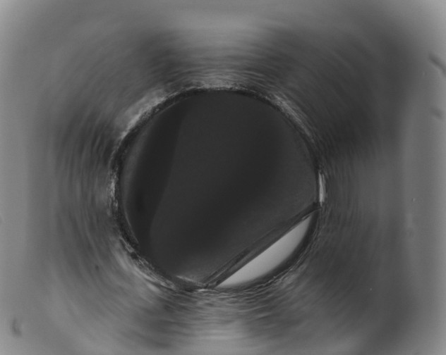 X0000099380723200805221805