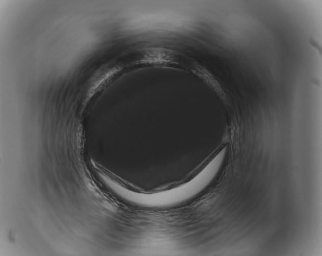 X0000099380724200805221805