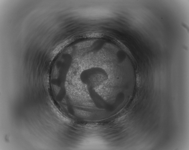 X0000099380725200805221805