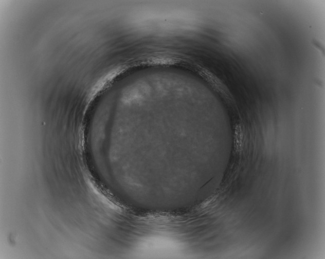 X0000099380726200805221805