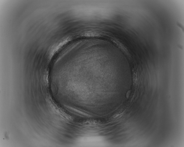 X0000099380727200805221805