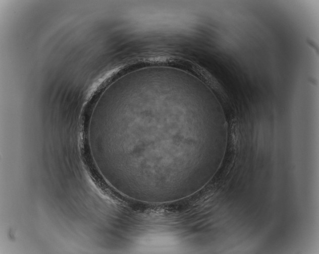 X0000099380728200805221805