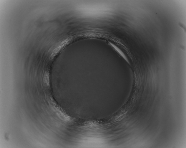 X0000099380729200805221805