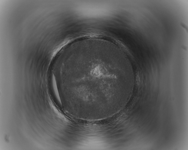 X0000099380730200805221805