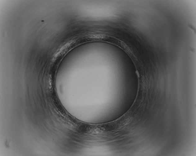 X0000099380731200805221805