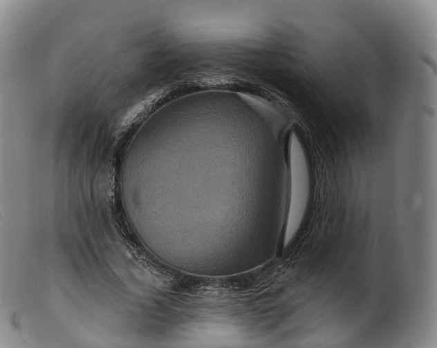 X0000099380732200805221805