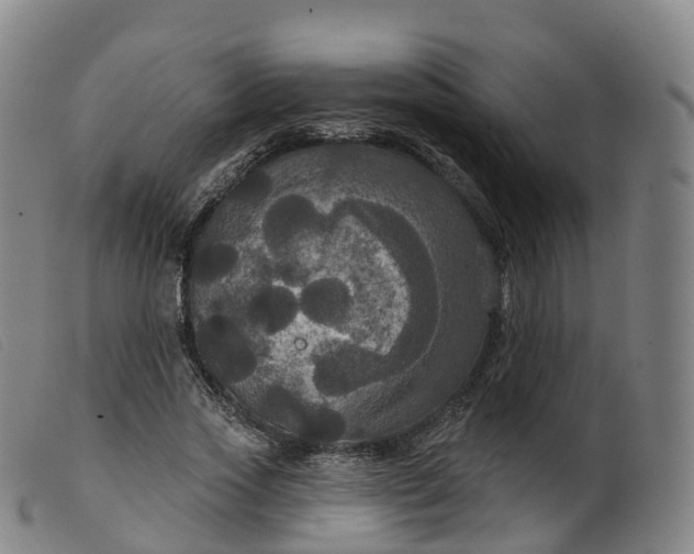 X0000099380733200805221805