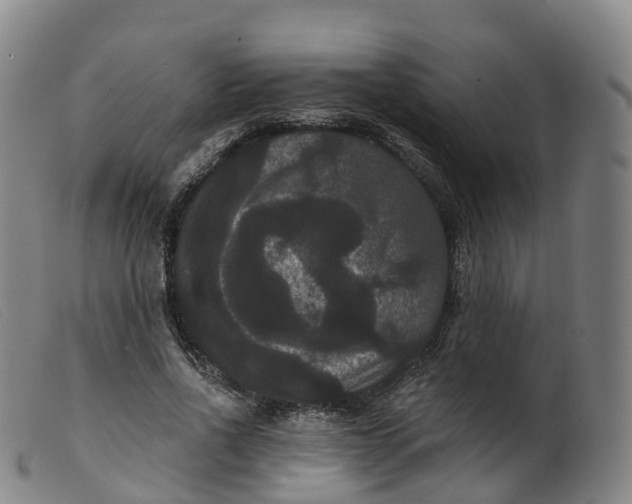 X0000099380734200805221805