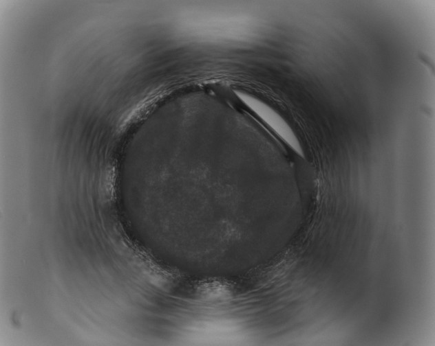 X0000099380735200805221805