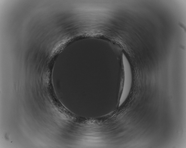 X0000099380736200805221805