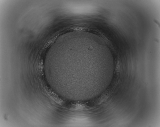 X0000099380737200805221805