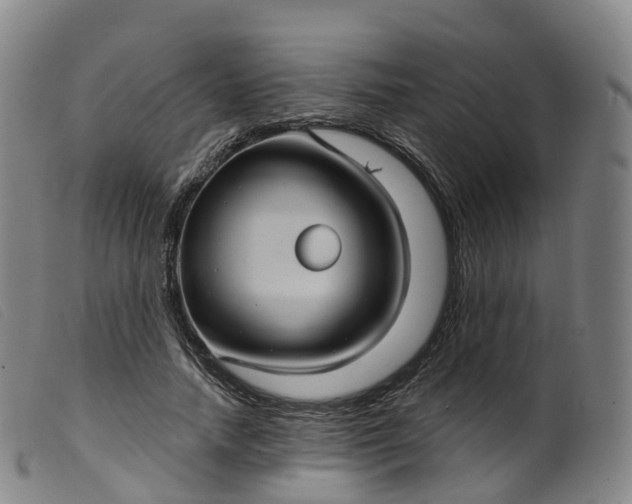 X0000099380738200805221805