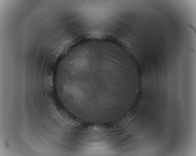 X0000099380739200805221805