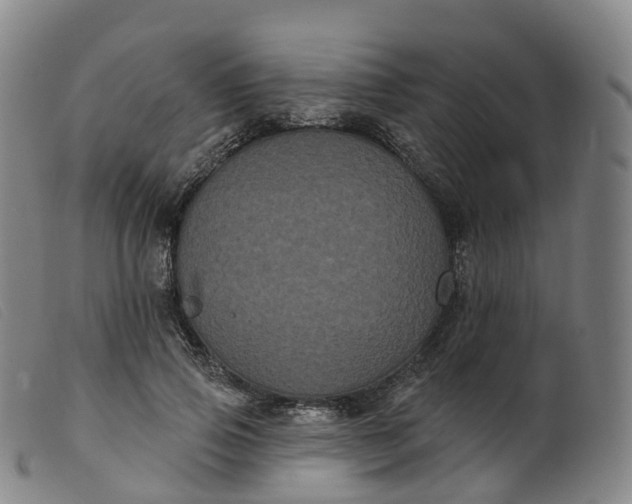 X0000099380741200805221806