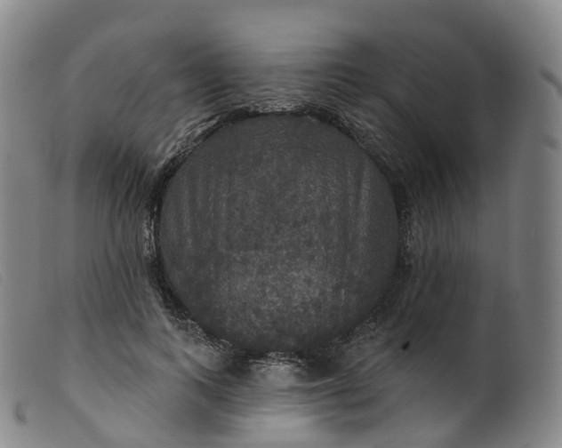 X0000099380743200805221806