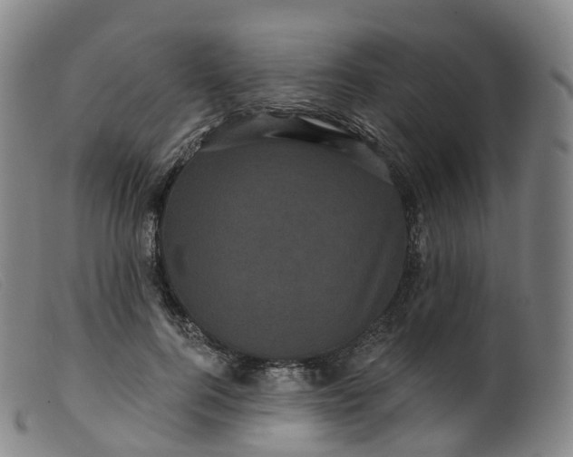 X0000099380744200805221806