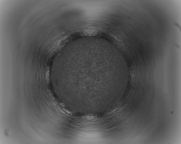 X0000099380745200805221806