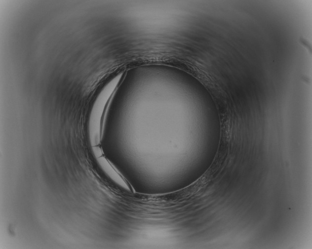 X0000099380746200805221806