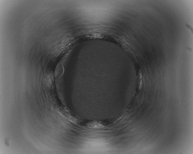 X0000099380747200805221806