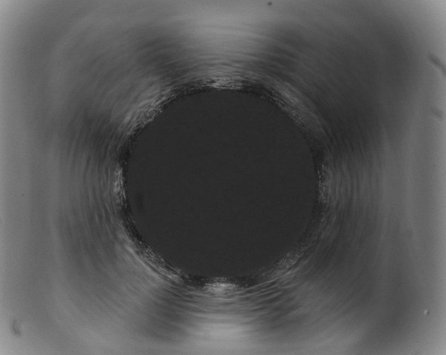 X0000099380748200805221806