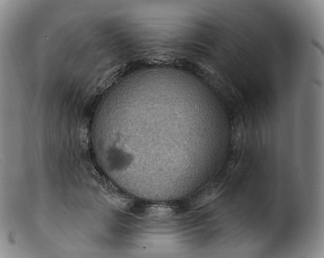 X0000099380749200805221806