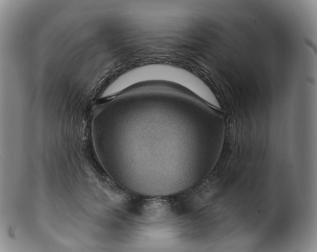 X0000099380750200805221806