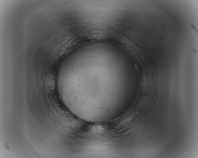 X0000099380751200805221806