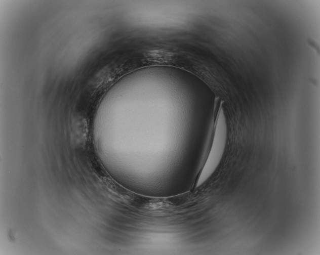 X0000099380752200805221806