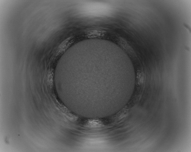 X0000099380753200805221806