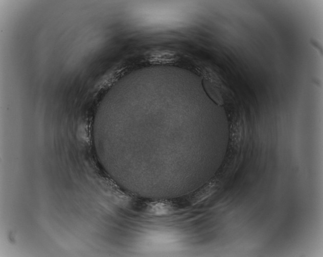 X0000099380755200805221806