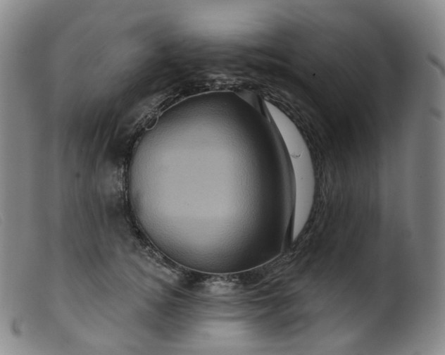 X0000099380756200805221806