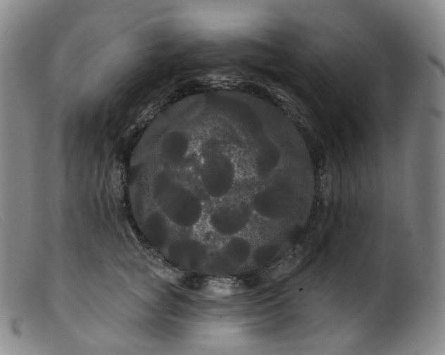 X0000099380757200805221806