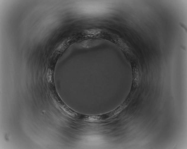 X0000099380758200805221806