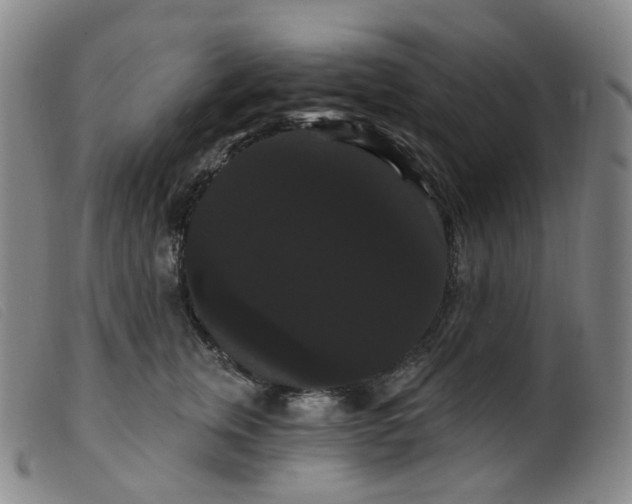 X0000099380759200805221806