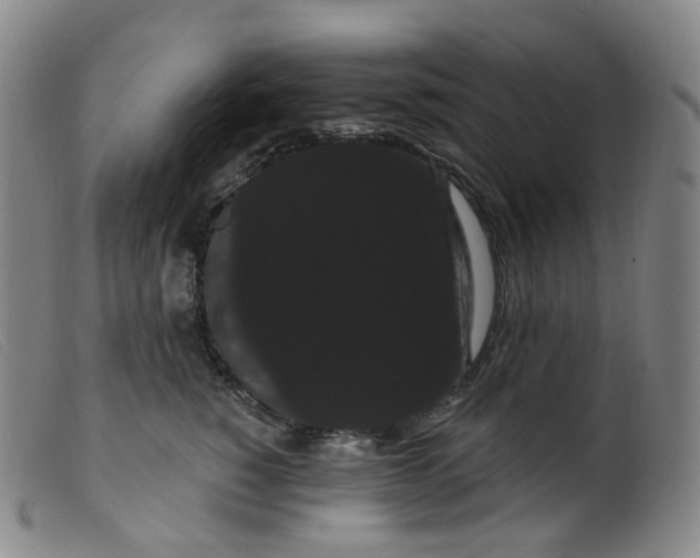 X0000099380760200805221806