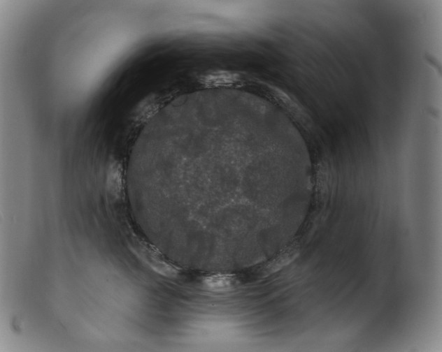 X0000099380761200805221806