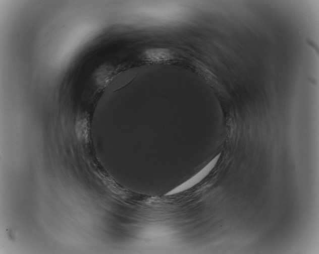 X0000099380762200805221806