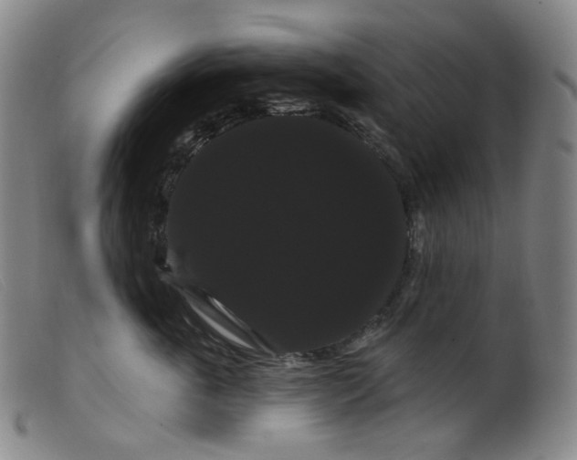 X0000099380763200805221806