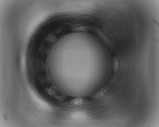 X0000099380764200805221806