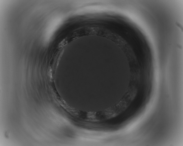 X0000099380766200805221806