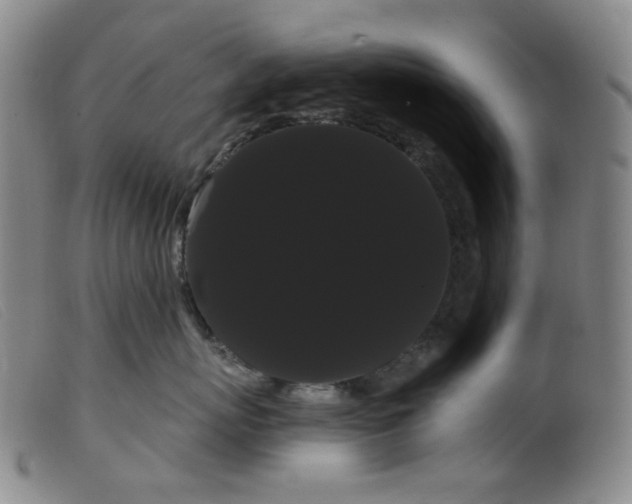 X0000099380767200805221806