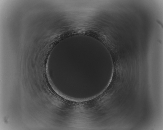 X0000099380769200805221805