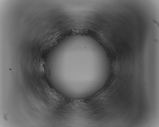 X0000099380770200805221805