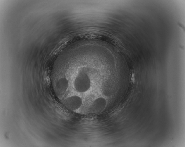 X0000099380771200805221805